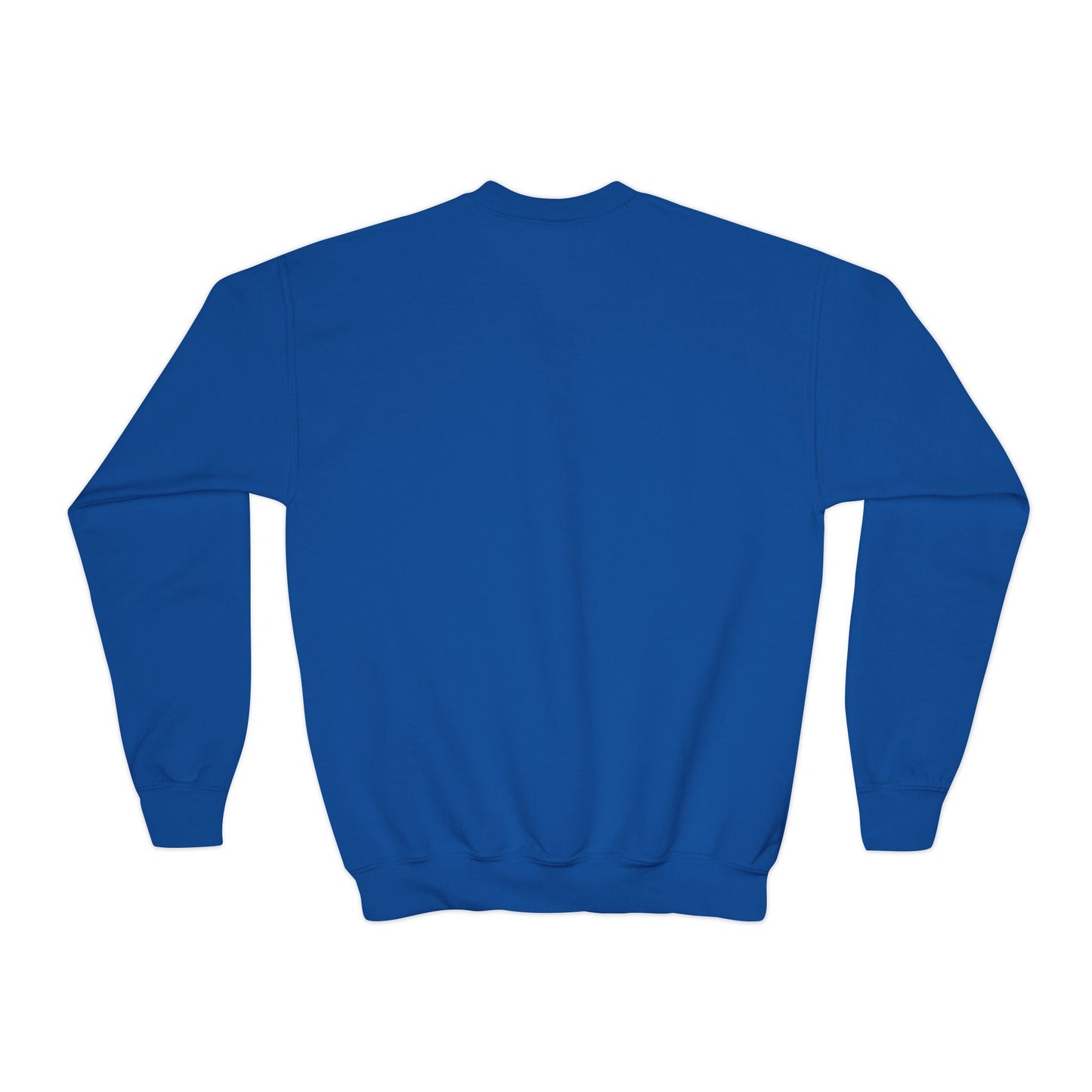 Faded Vision “Youth” Crewneck Sweatshirt