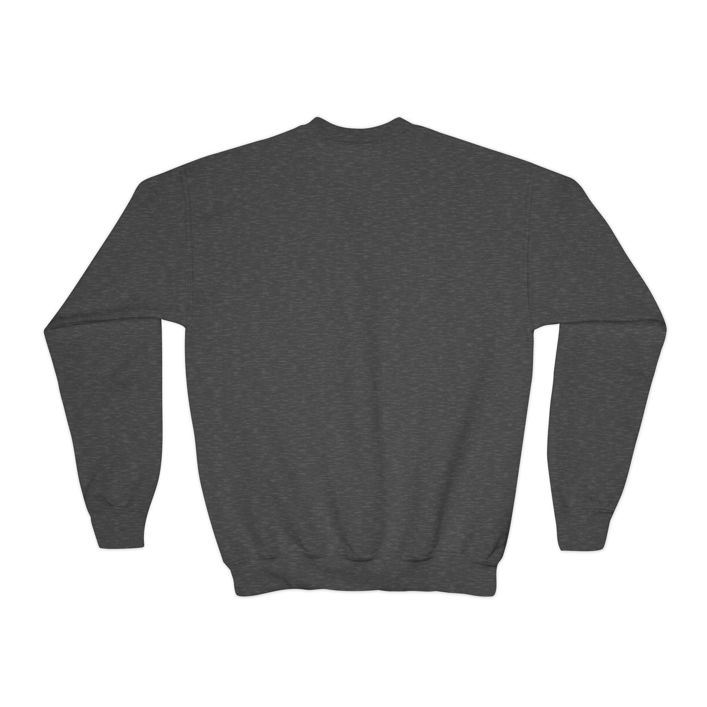 Faded Vision “Youth” Crewneck Sweatshirt