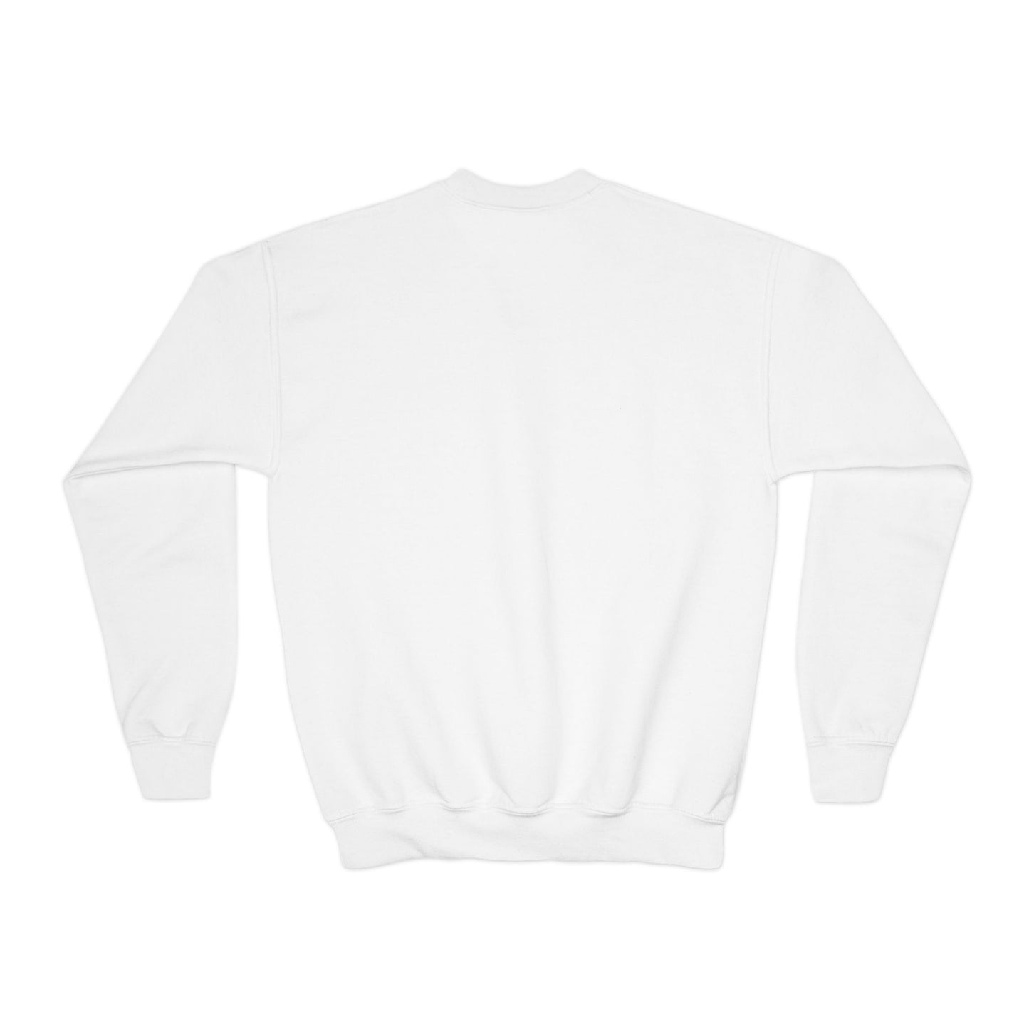 Faded Vision “Youth” Crewneck Sweatshirt