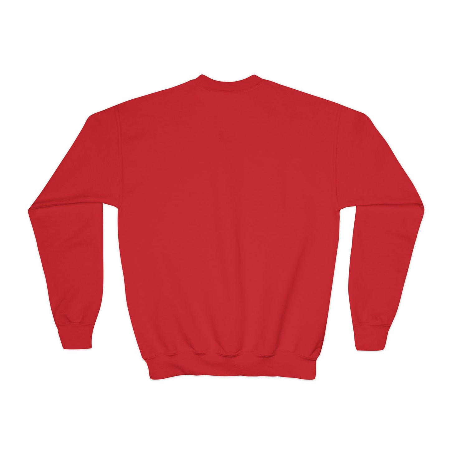 Faded Vision “Youth” Crewneck Sweatshirt