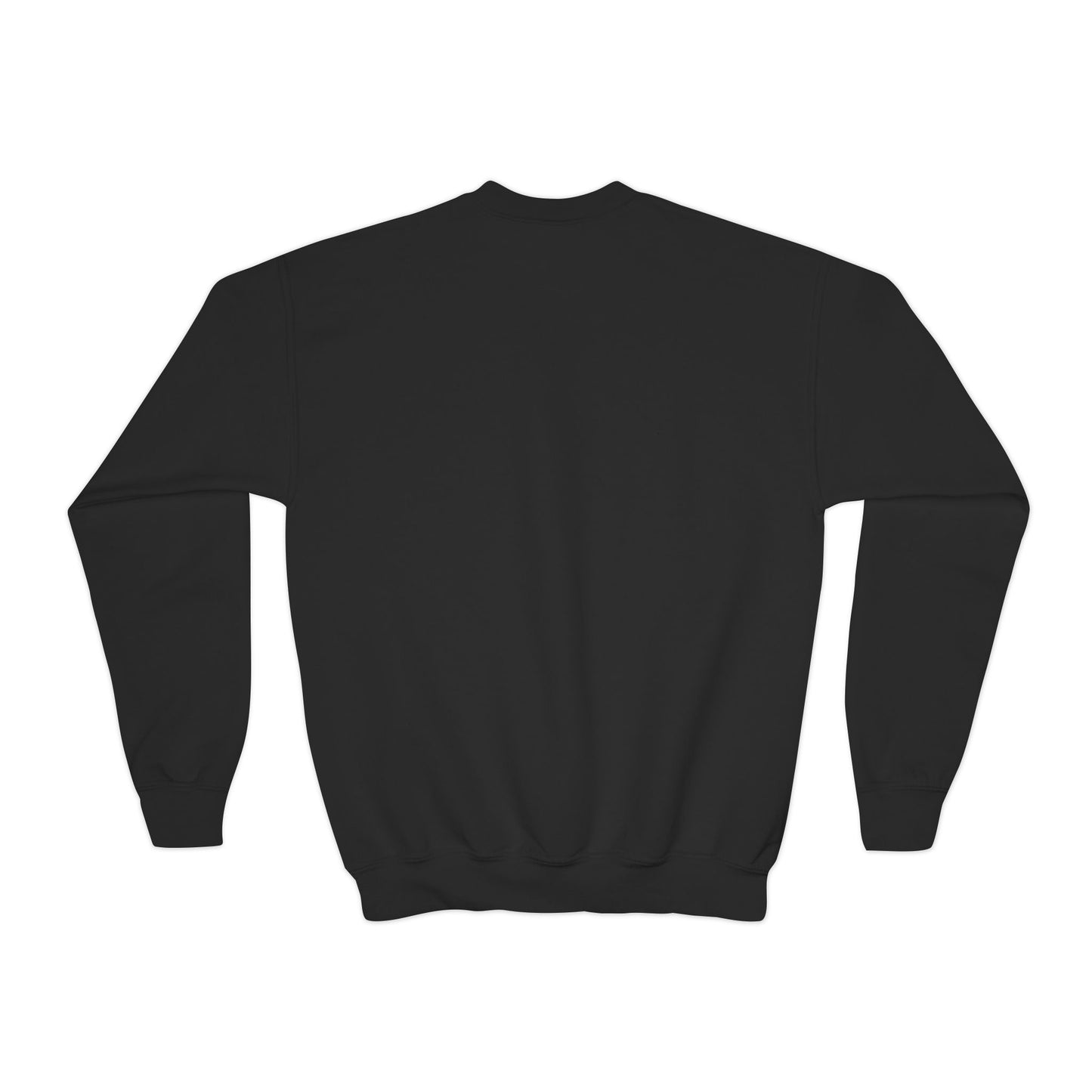 Faded Vision “Youth” Crewneck Sweatshirt