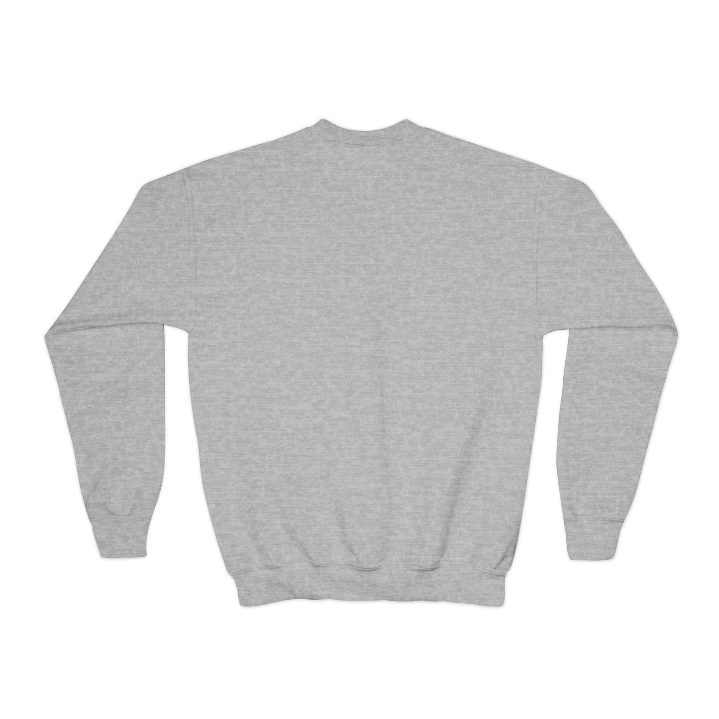 Faded Vision “Youth” Crewneck Sweatshirt